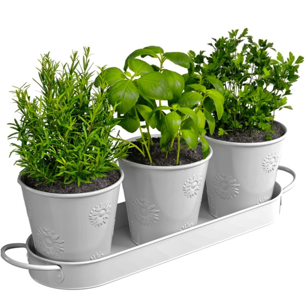 NIB Barnyard Designs Indoor Embossed Herb Garden Planter Set with Tray in white